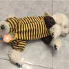 Pet Spring Autumn Striped Jumpsuit Prevent Cold Dog Belly Protection Coat for Small Dog Four Legged Coat Pet Pajama PuppyClothes