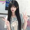 Fashion 26-inch Synthetic Wig - Black Long Straight Hair - Halloween Cosplay Hair - Daily Wig - High-temperature Hair Accessory