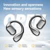 JYL TS SK26 Headphones Sleepers Bass Sound Plastic