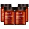 Jiva Aam Pachak Churna 100gm Pack of 4 Ayurvedic Digestive Powder Natural Herbs Blend