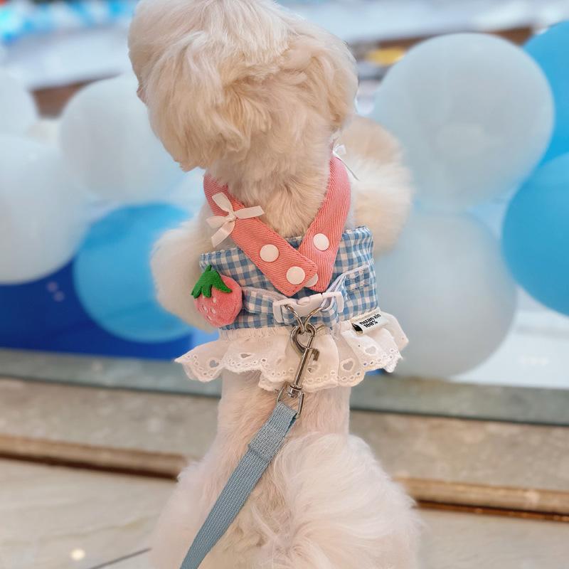 

Милый питомец померанский шпиц одежда поводок юбка маленький щенок нагрудный ремень XL синий