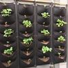 Flower Planting Bag 7 Slots Breathable Wall Hanging Growth Pouch Garden Growing Pot Garden Supplies