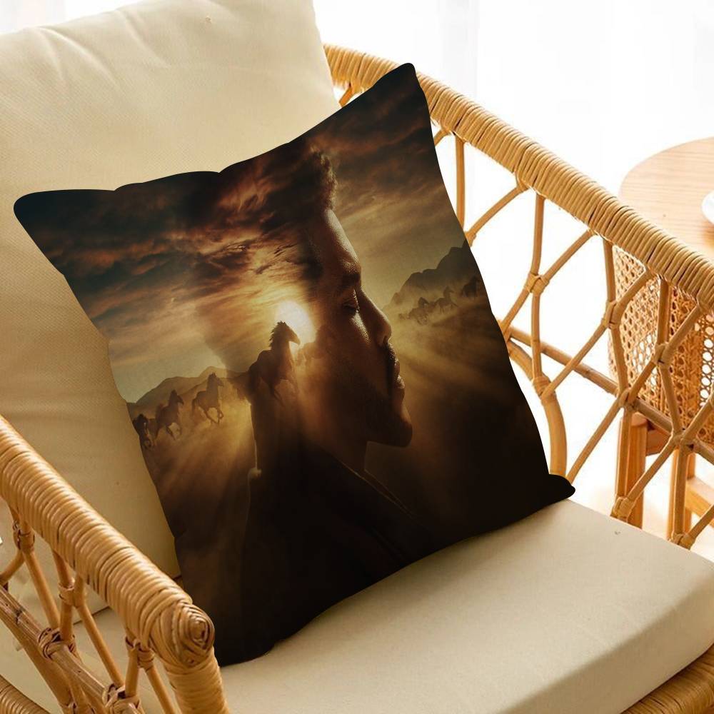 Music Album Star T-The Weeknd Hip Hop Print Pillow Covers Sofa Decorative Home Double-sided Printing Short Plush Cushion Cover