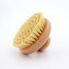 Beech Wood Hemp Cactus Fiber Slimming Massage Bath & Shower Brush
