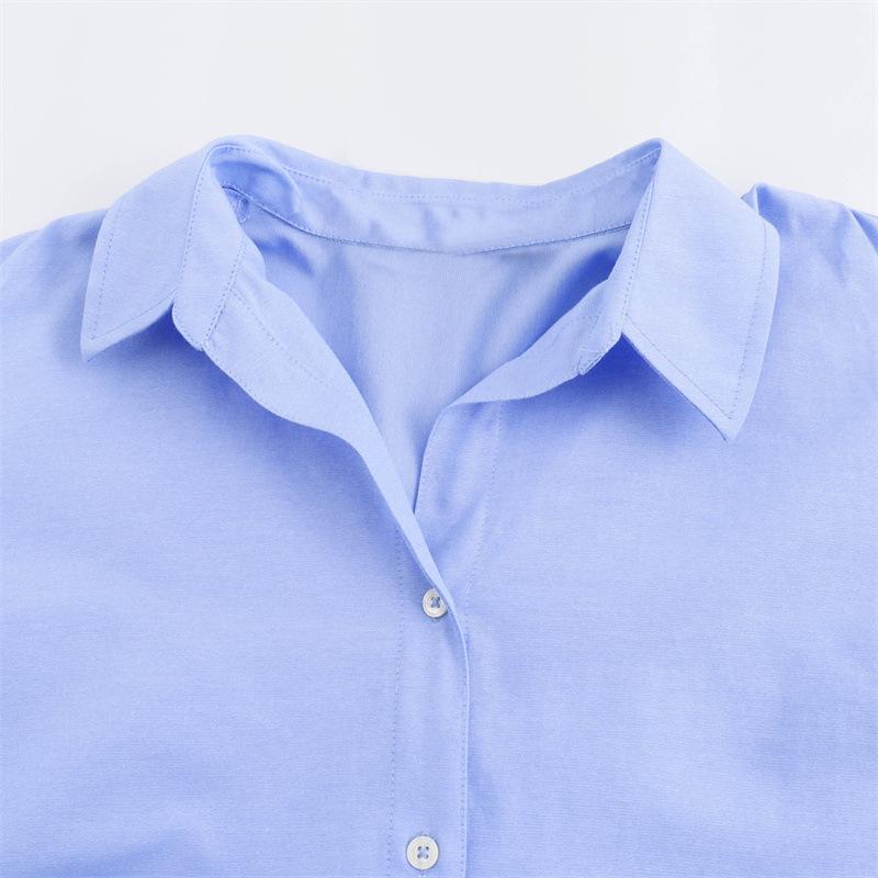 New Style, Women's Clothing, Loose and Casual, Long Sleeves, Oxford Shirts for Women, Autumn and Winter Innerwear, Professional Women's Clothing