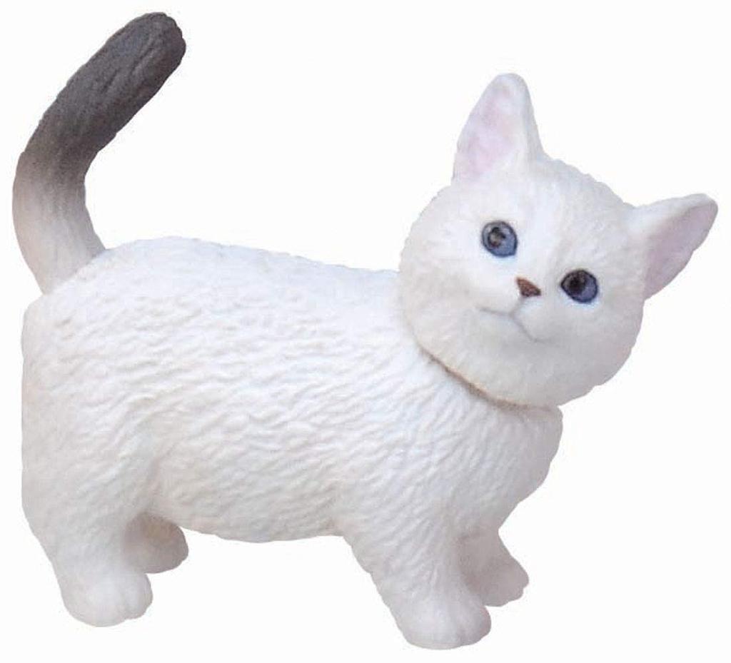 Ania Ania Friends Tekuteku House