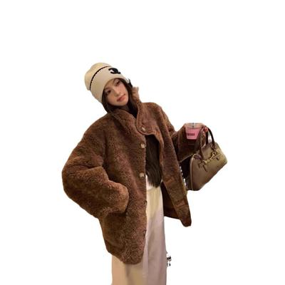 Wearing Lamb Wool and Fur Coats On Both Sides, Women's New Autumn and Winter Coats