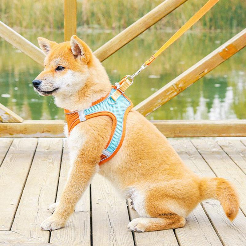 Reflective Nylon Vest-Style Dog Harness and Leash Set