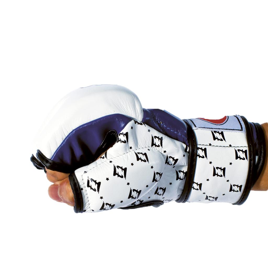 Fairtex MMA Sparring Gloves FGV17 (L, White/Black)