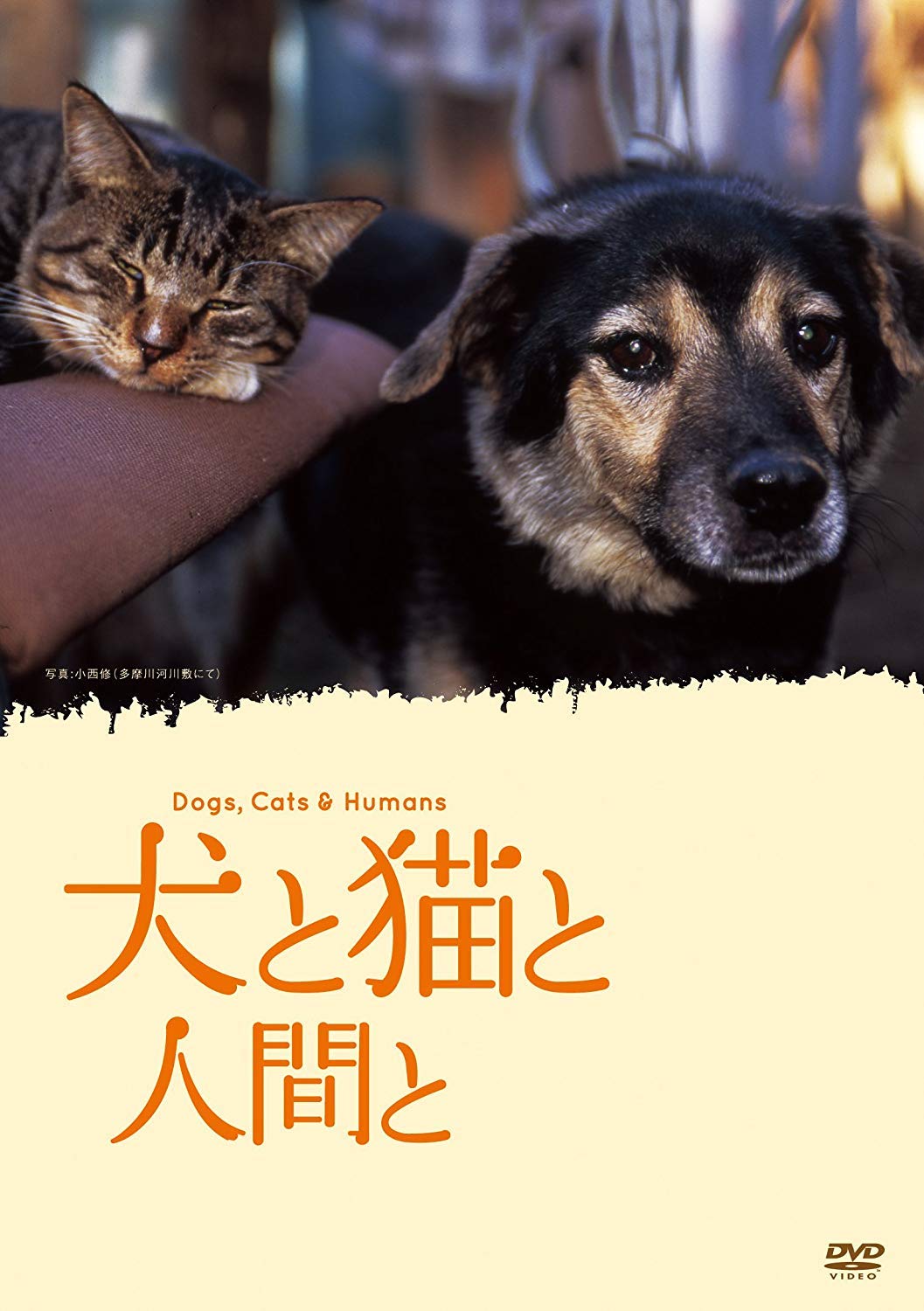 

and Humans Dogs, Cats, [DVD]