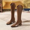 Boots Women's Thick Heel V-mouth Brown Pointed High Boots 2025 New Thin Boots But Knee Knight Boots