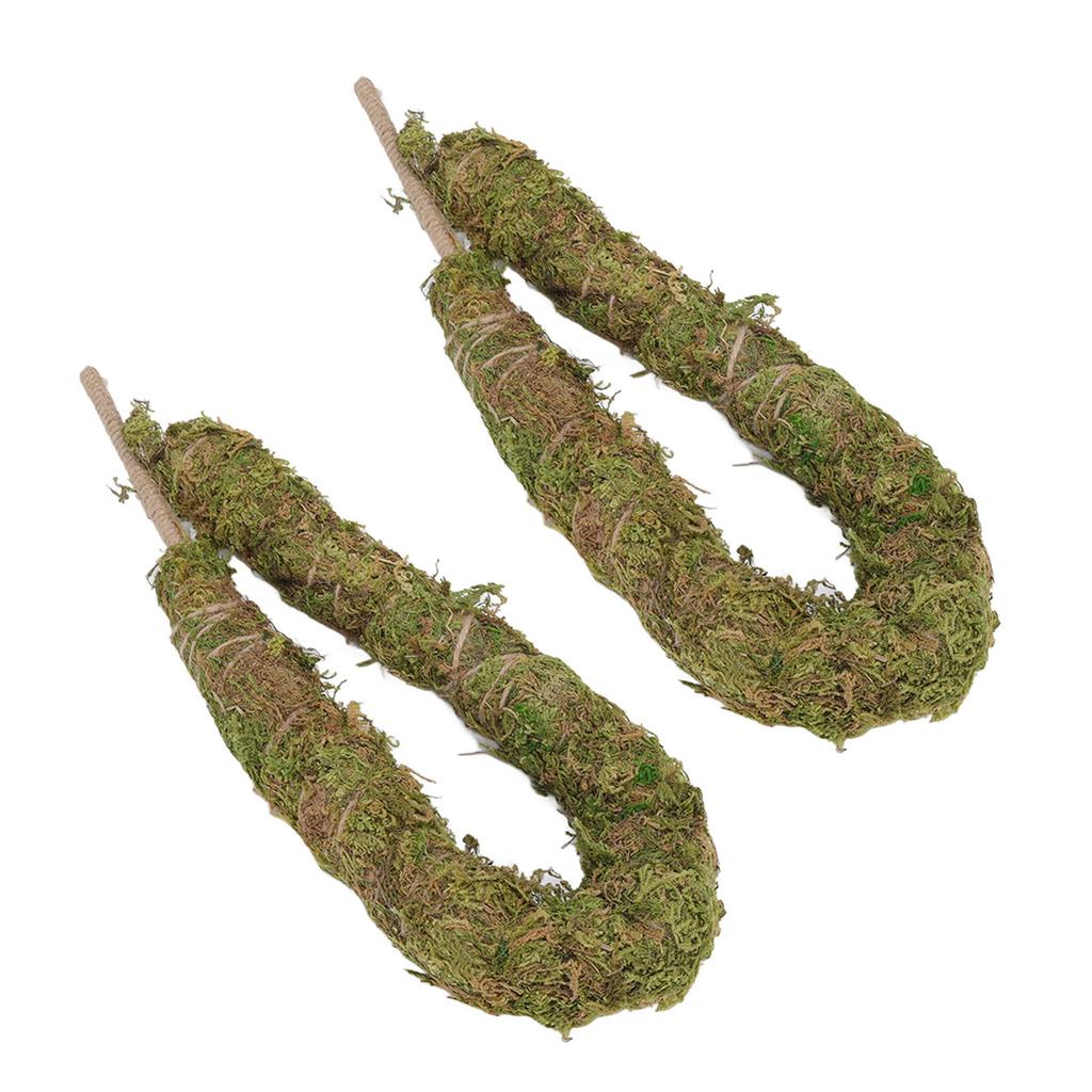 Moss Pole Bendable Safe Moss Plant Rod Plant Support Gardening Tools for Indoor Climbing Plant