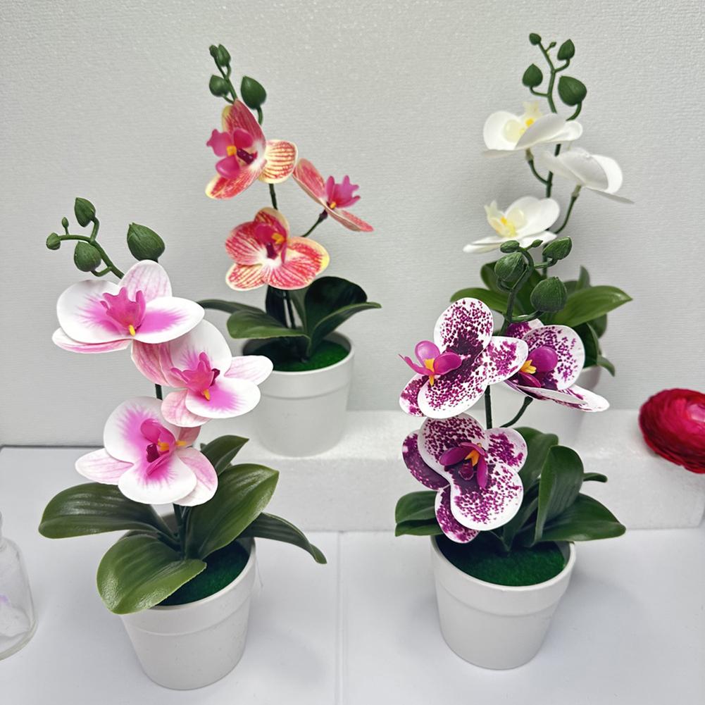 Compact Design Fake Flower Plant Phalaenopsis Bonsai Easy To Style
