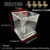 Square Transparent Plastic Flower Pot for Phalaenopsis Orchids, Breathable, Ideal for Living Room or Indoor Window Sill
