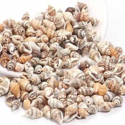 30g Sea Shell Beads 7-12mm Tiny Conch Spiral Shells Beads For Jewelry Making DIY Bracelet Necklace Pendants Keychain Accessories