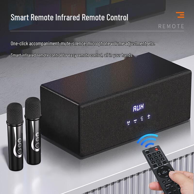 Soai All-in-One Home Audio System with Dual Microphones