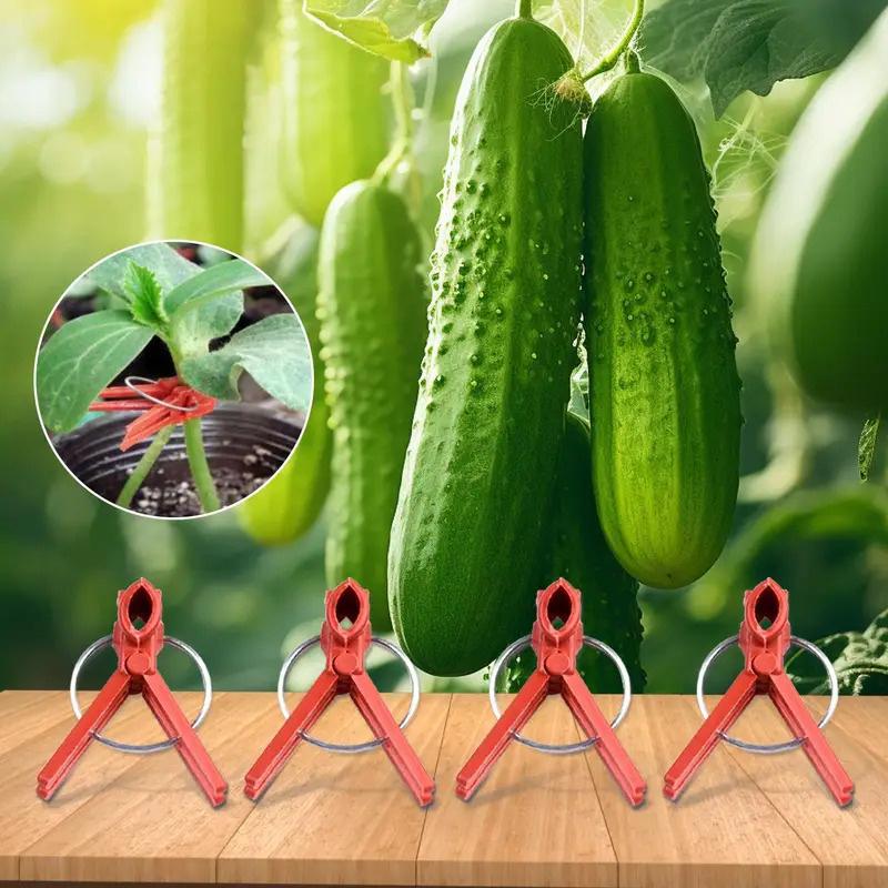 100pcs Garden Tool Graft Clip Graft Clamp For Novice Enthusiast Stable Connection Versatile Ample Quantity Plastic