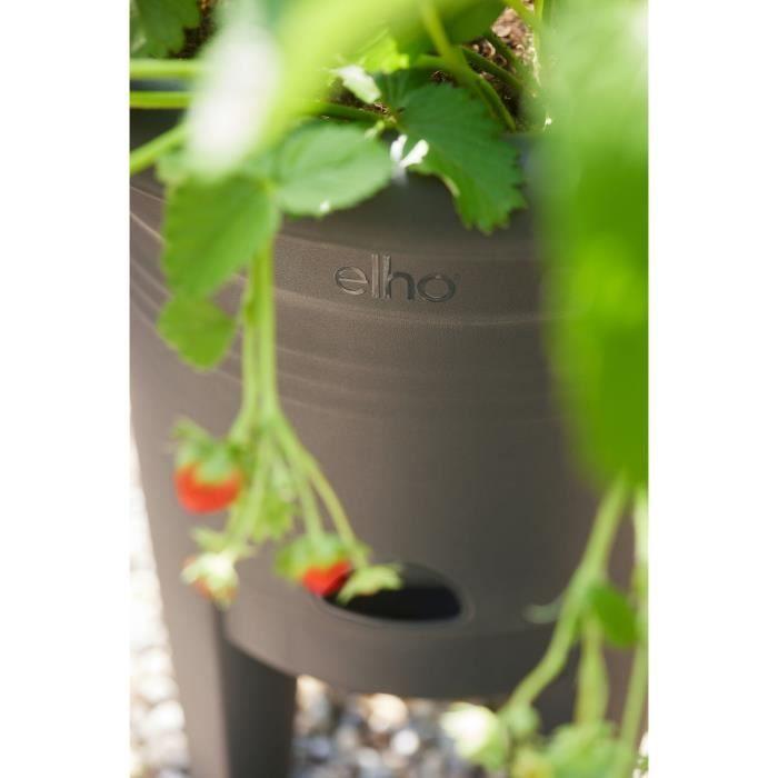 ELHO Pot de culture à fraises Green Basics - Ø 33 x H 42 cm - Culture et récolte,extérieur - 100% recyclé - Noir