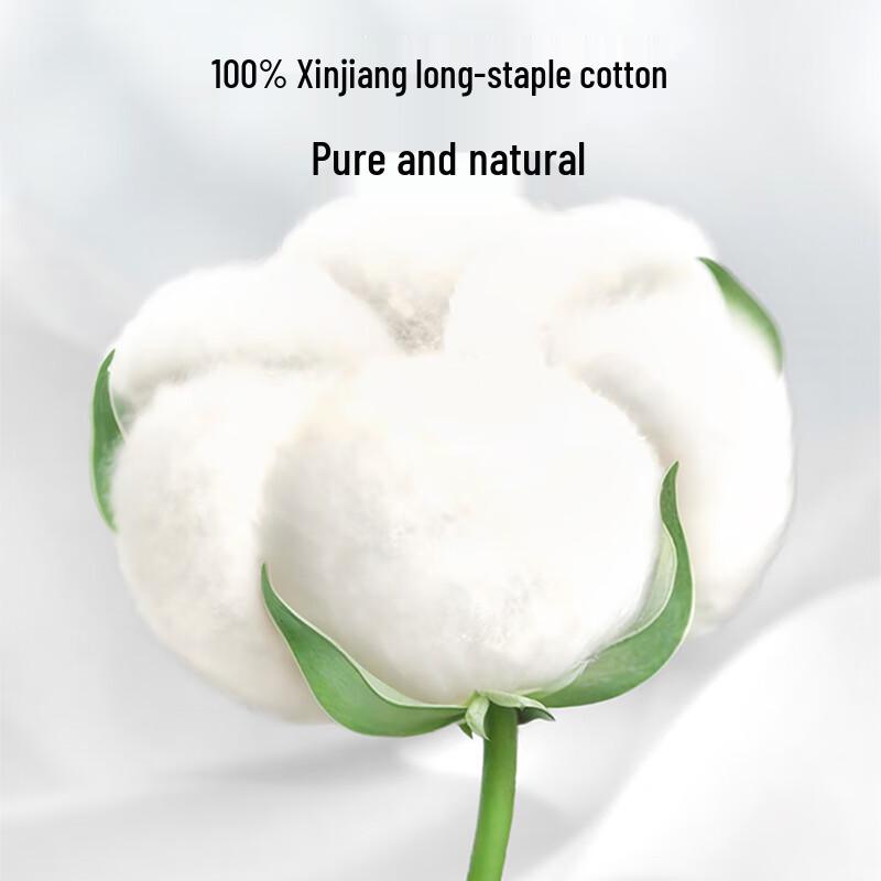 Anke Disposable Pure Cotton Women's Underwear