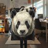 Panda Pattern Flannel Blanket, High Quality Comfortable for All Seasons, Home Decor, Warmth and Comfort, Perfect for Gifts.