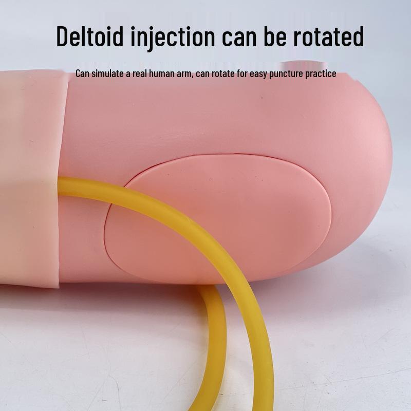 Intramuscular Injection & Phlebotomy Training Arm Model for Nurses