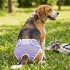Leak-proof Pet Diapers Breathable Dog Menstrual Pants Pet Supplies Pet Underwear  Dog Heat Season