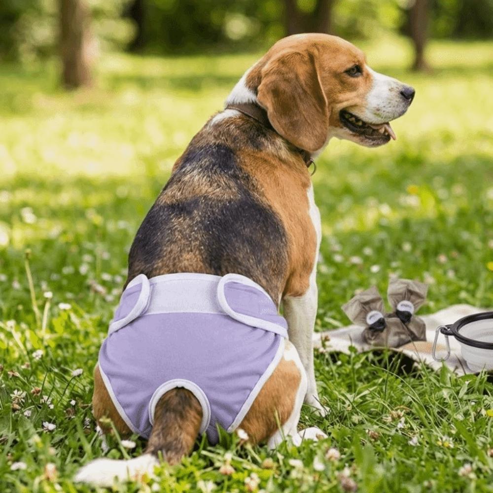 Leak-proof Pet Diapers Breathable Dog Menstrual Pants Pet Supplies Pet Underwear  Dog Heat Season