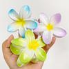 3 Inch Gradient Flower Hair Claw For Women Elegant Resin Floral Hair Clip Fresh Sweety Flower Gripper Girls Hair Accessories