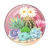 POKEMON Bulbasaur Terrarium Graphic Print Mobile Phone Grip