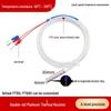 PT100 RTD Temperatursensor