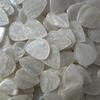 Guitar Picks Resin Picks Speed Picks Custom Picks Pick Collectibles Iridescent Picks