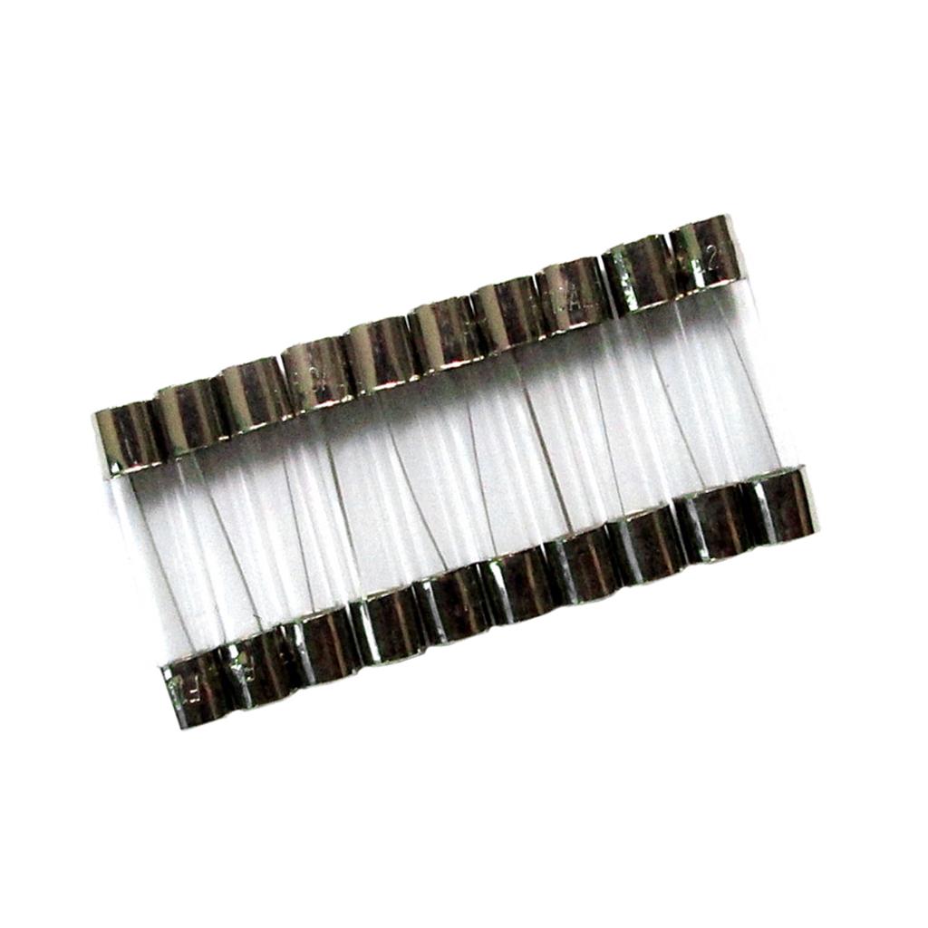 10 Pcs Fast Blow Type Glass Tube Fuses 6x30mm 250V 10A