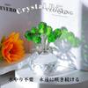 SCGEHA Crystal Rose Never Perfect As a Gift for Made of Available In 8 Colors Figurine, Withers, Longevity, Celebrations, Anniversaries, Mother's Day,