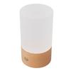 LED Table Lamp 3000K Warm Light Touch Control Stepless Dimming USB Charging Portable Bedside Night