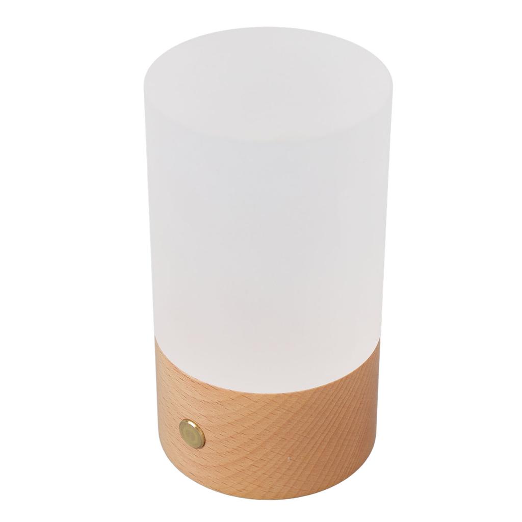 LED Table Lamp 3000K Warm Light Touch Control Stepless Dimming USB Charging Portable Bedside Night