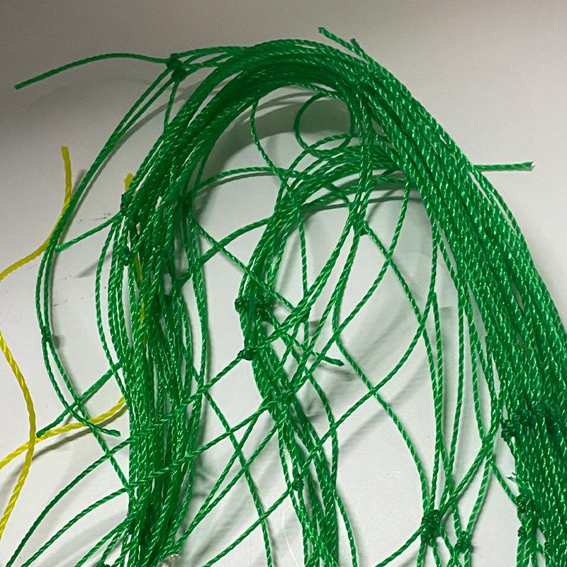 Green Plant Climbing Net: Reinforced Edge Nylon Vine Support for Melons, Grapes, Morning Glory, and Beans