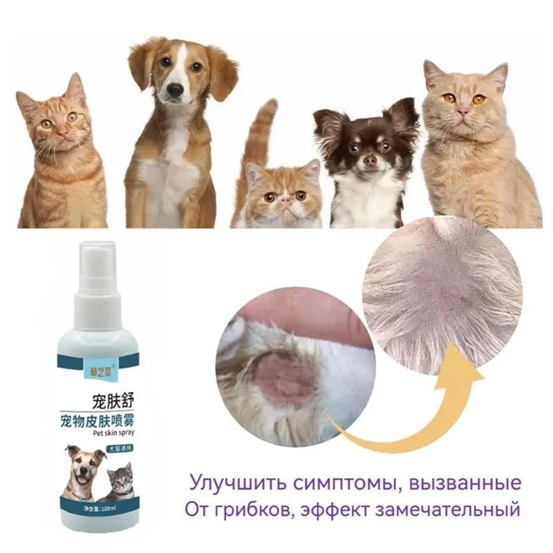 Cat Skin Care Spray 100ml Natural Formula for Itchy Skin Relief Treats Fungal Bacterial Infections