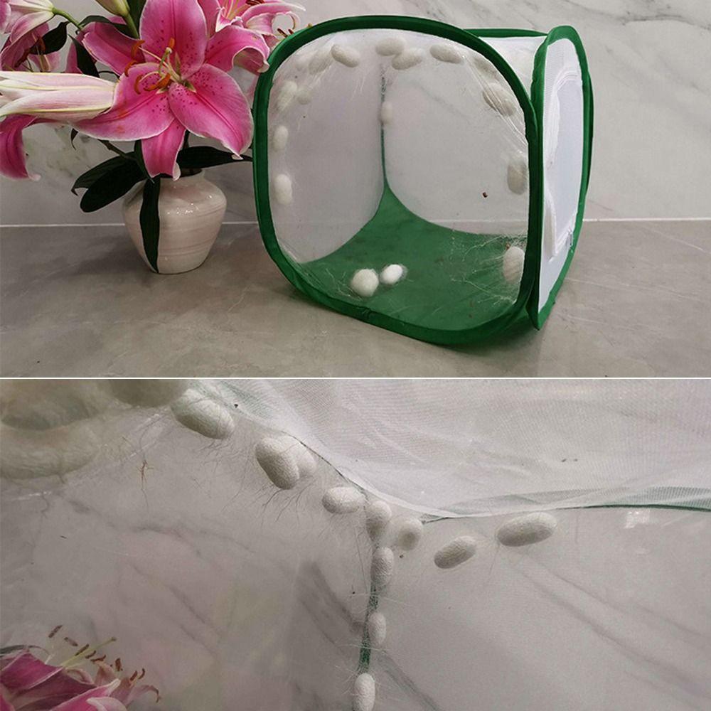 Collapsible Insect Cage Pop-up Protection Net Durable Butterfly Habitat