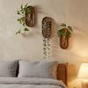 Space Saving Wall Mounted Vase Solid Wood Oval Tube Wall Vase Plant Container  DIY Plant