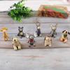 Healing Series Animal Figurines Gazing At The Stars. Suitable for Photography Backgrounds, Photography Shoots, Photo Studio Props.