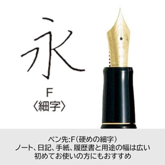 PILOT Füllhalter Custom 74 B-F Schwarz FKKN12SRBF