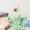Dingdongpet pet soft pet towel set, Korean pet shampoo