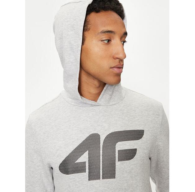 Толстовка 4F 4FWMM00TSWSM1464