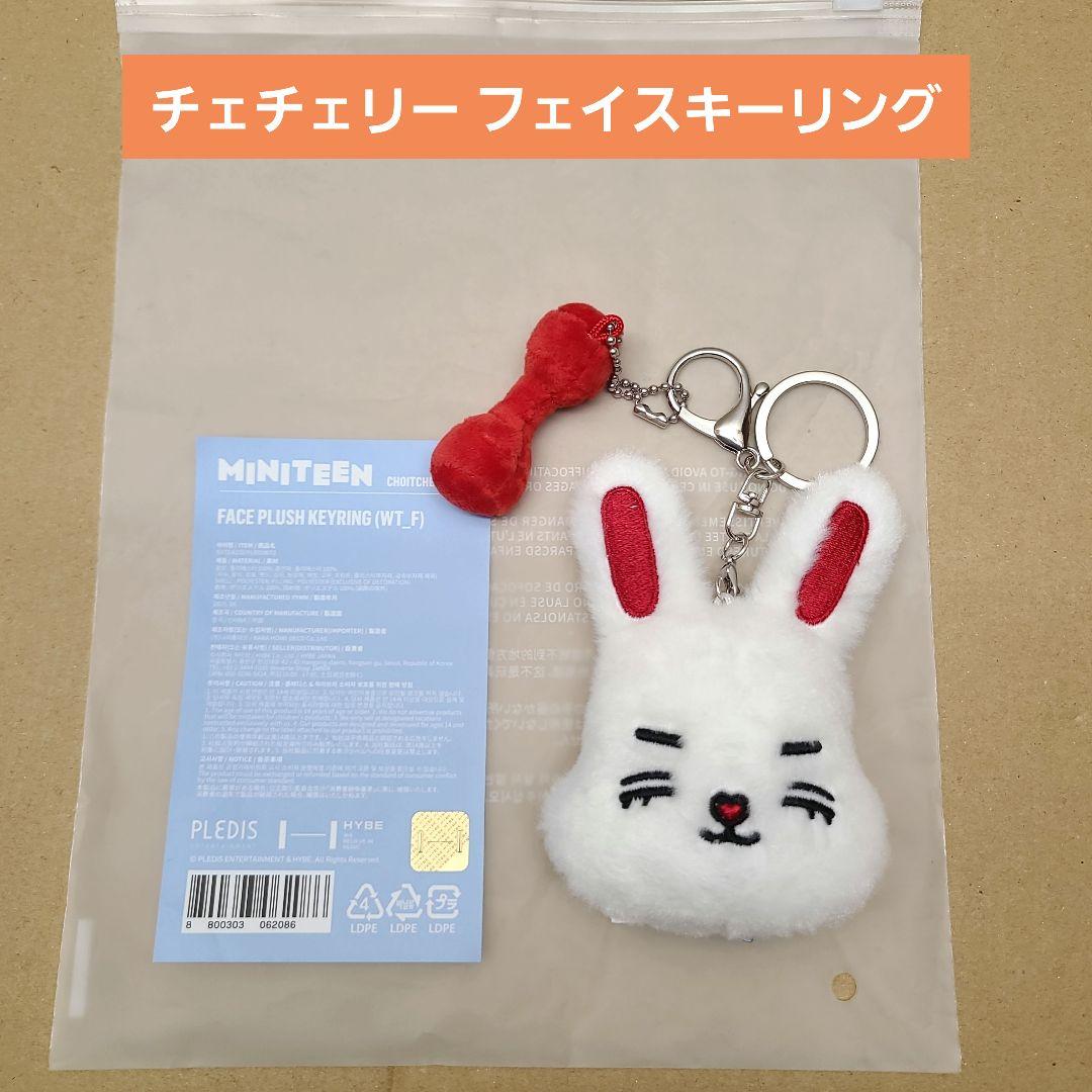 

[USED] MINITEEN S.Coups Face Keyring Miniteen Chechery