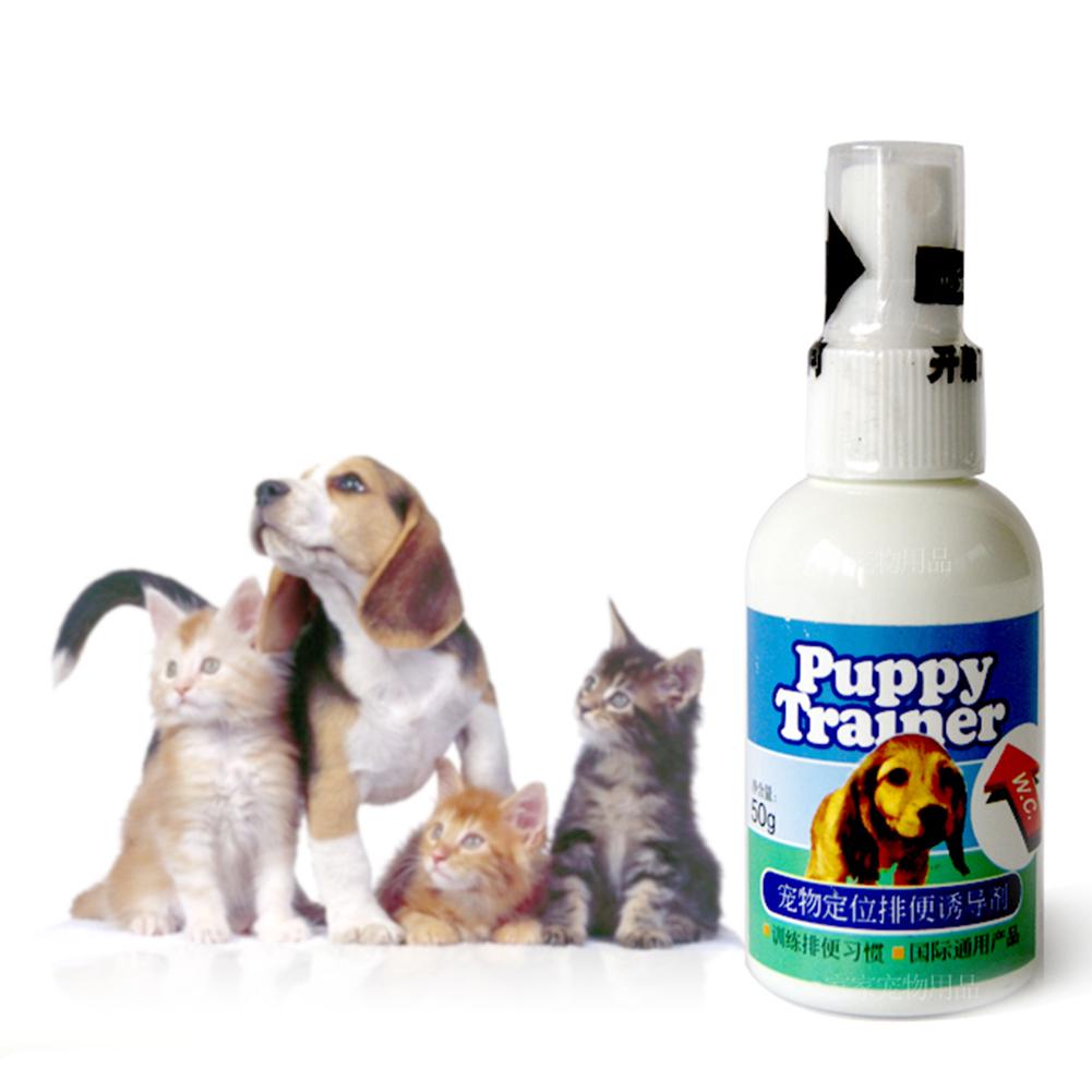 pet corrector training guide
