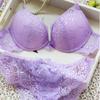 Romantic Temptation Lace Bra Lady Underwear Set Bra Set