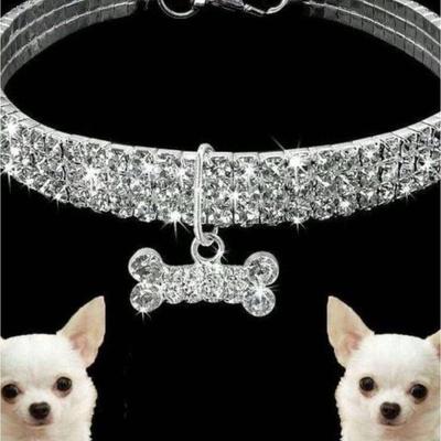 Hunde – Hundehalsbänder & Leinen