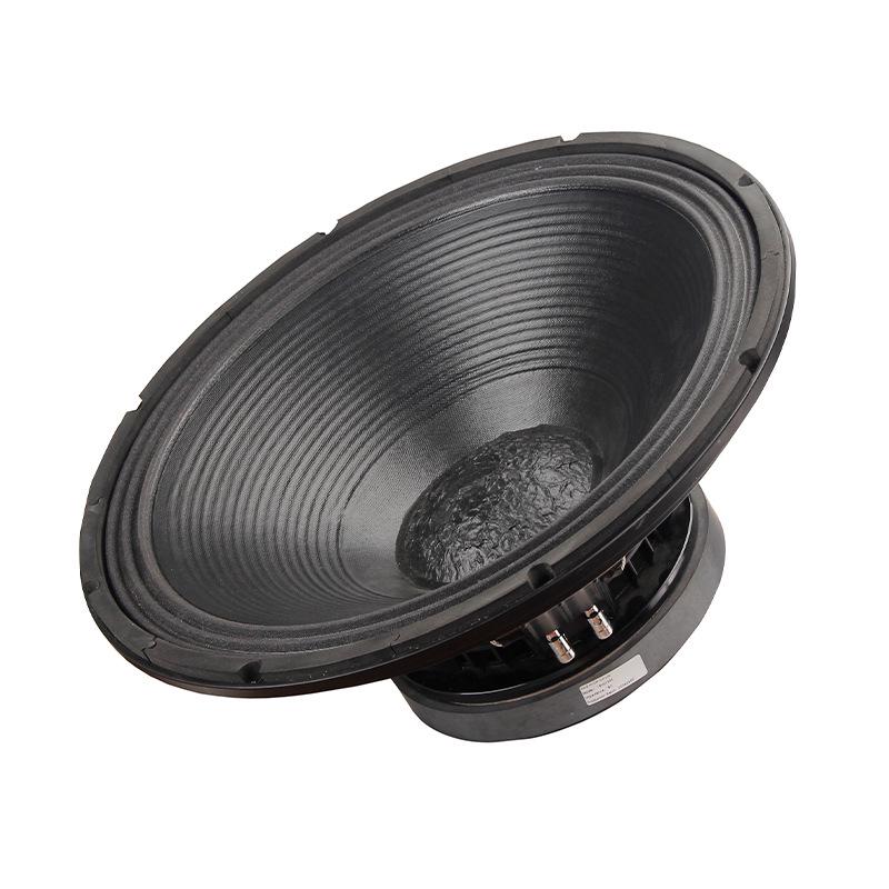 Professional 12" & 15" Full-Range Bass Stage Speaker for KTV