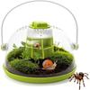 Caixa de Criação para Terrários de Caracóis, Habitat Redondo de Plástico para Caracóis, Caixa de Alimentação Transparente com Furos de Ventilação e Base Removível, Recipiente de Alimentação para Insetos Pequenos para Besouros