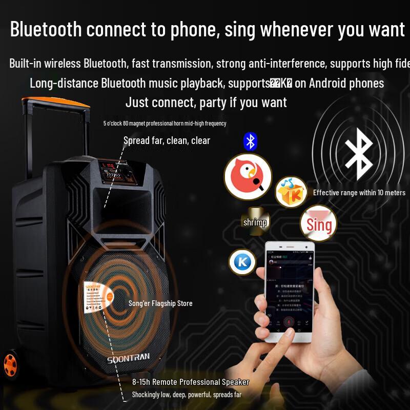 Portable Karaoke Bluetooth Speaker with Dual Wireless Microphones CN plug (adapter included)